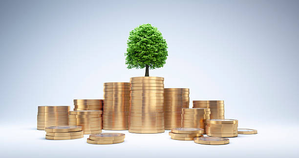 istock Stacks of golden coins with green tree on top 2226439891