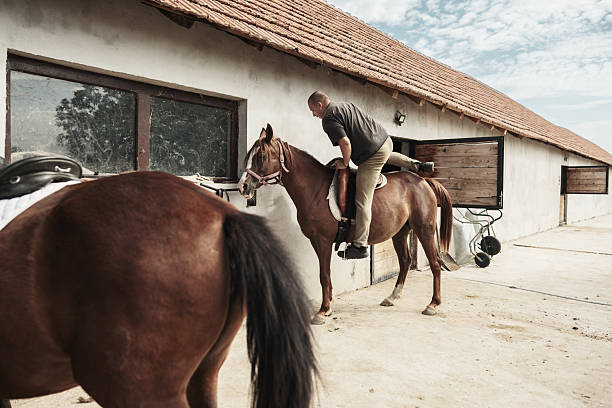 istock Young man getting ready for a horse ride 2226440484