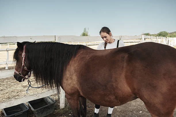 istock Young woman getting ready for a horse ride 2226440598