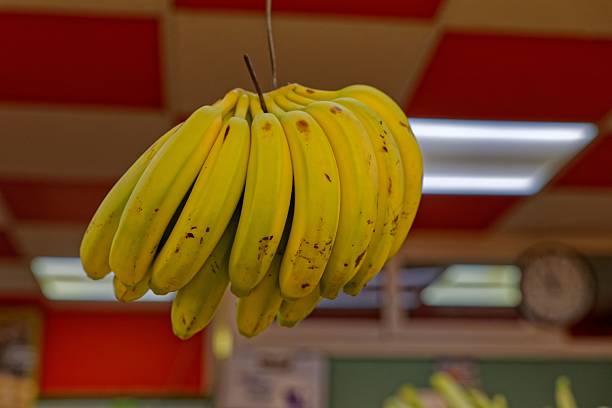Green banana fruits in the market