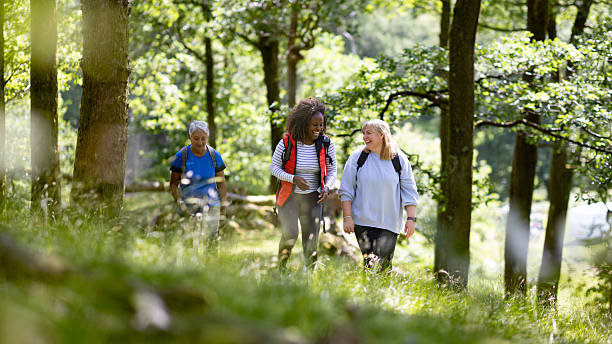istock Tranquil Nature Walks with Good Friends 2226447459