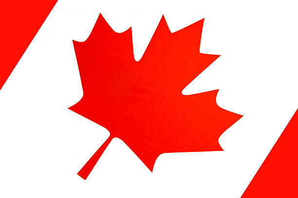 istock Flag of Canada. Canadian education. 2226451804