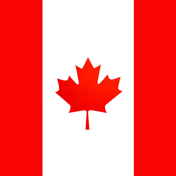 Flag of Canada. Canadian education.