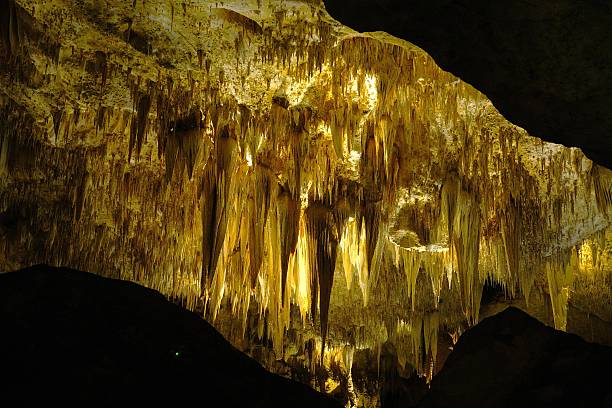 istock Views on the Big Room Trail include Stalagmites, Stalactites, Reflecting Pools, Draperies, Soda Straws, Bacon Rinds, Ghouls and Goblins.  Landscape, Scenery, Caverns, Canyons, Trails, and Fauna of Carlsbad Caverns National Park New Mexico. 2226452725