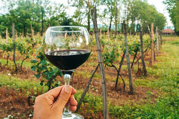 istock Hand Holding Red Wine Glass in Vineyard on a Summer Day 2226456255