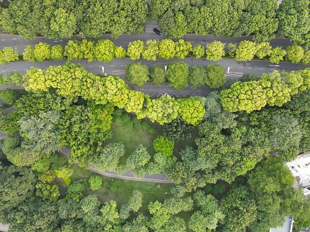 istock Asphalt roads in urban green spaces and tree shade 2226456488