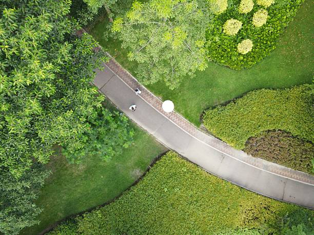 istock Curving asphalt park pedestrian walkway 2226456489