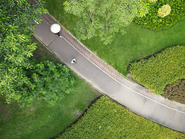 istock Curving asphalt park pedestrian walkway 2226456504