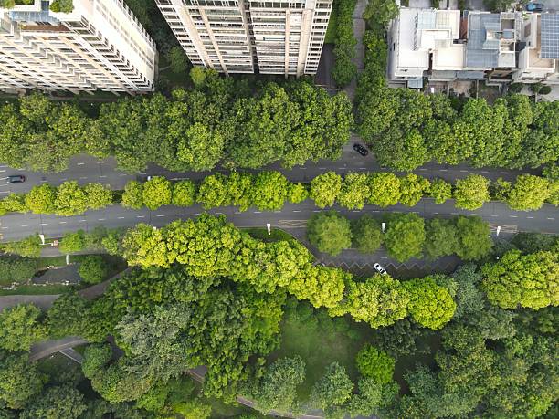 istock Asphalt roads in urban green spaces and tree shade 2226456526