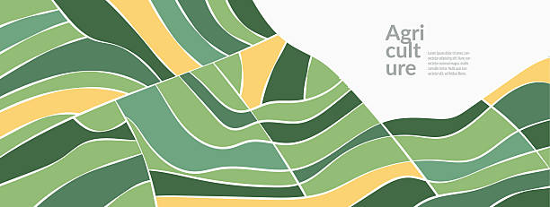 Aerial vector illustration of farmland with rice or cereal crops in green field. Abstract geometric patterns, modern agro design, environmental ecology. Rural countryside backdrop. Banner or wallpaper