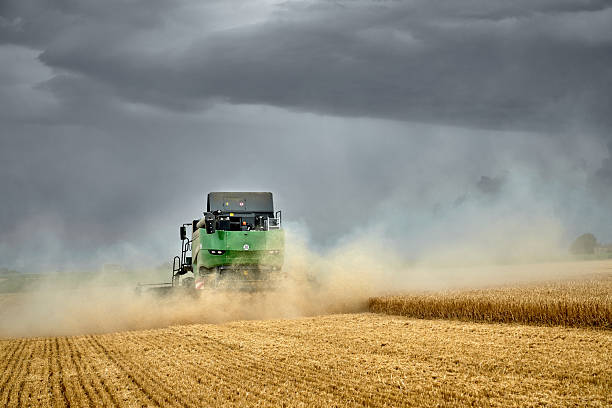 istock combine harvester on wheat field in thunderstorm 2226467027