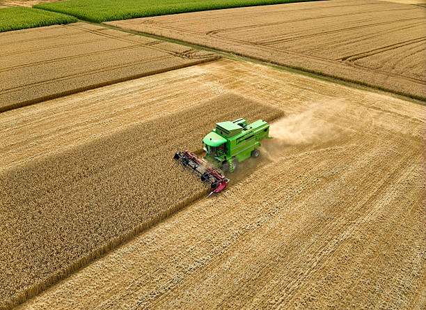 istock combine harvester harvesting ripe wheat 2226468120