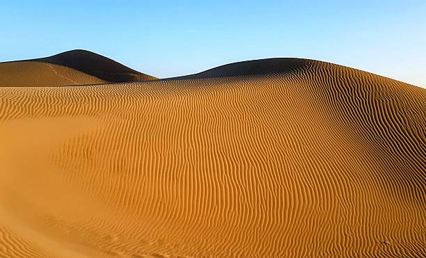 istock Sand dunes in golden sunlight with wave formations and soft blue sky 2226469881