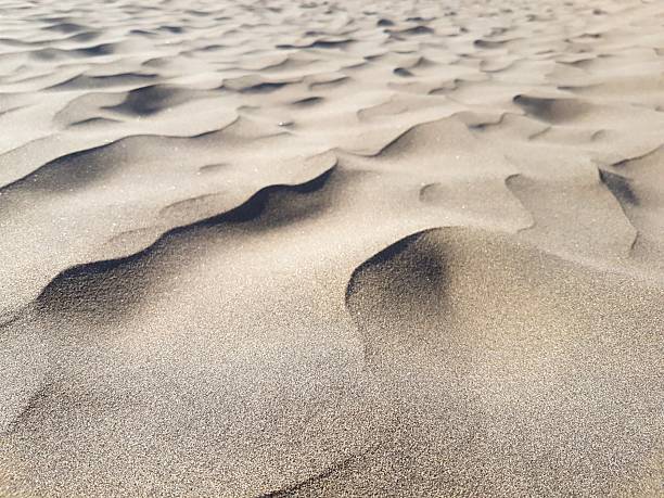 Artistic close-up of desert sand showing fine wave-like patterns with a mix of sharp and blurred areas. The image captures the delicate texture, light, and rhythm of natural dune formations in a minimalistic way