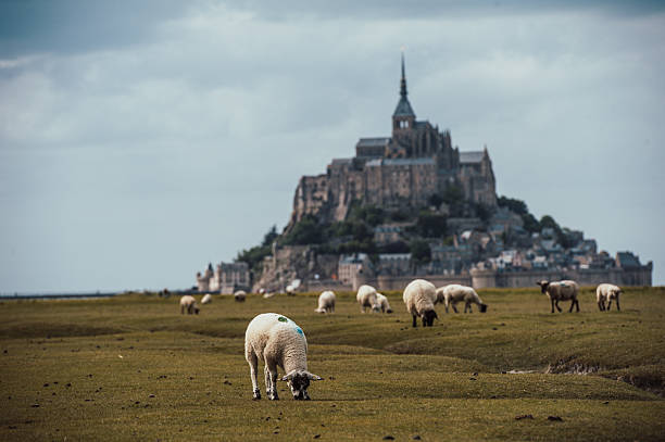 istock Mont Saint Michel located in Normandy France 2226471561