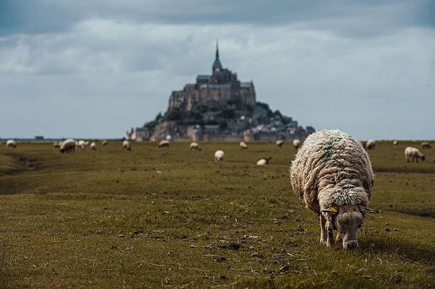 istock Mont Saint Michel located in Normandy France 2226471627