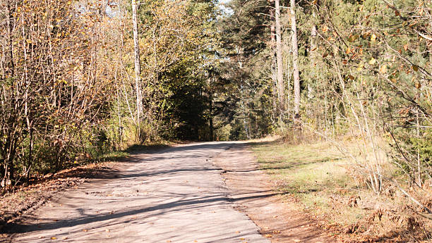 istock A Serene Autumn Pathway Meandering Through Natures Unmatched Beauty and Splendor 2226472603