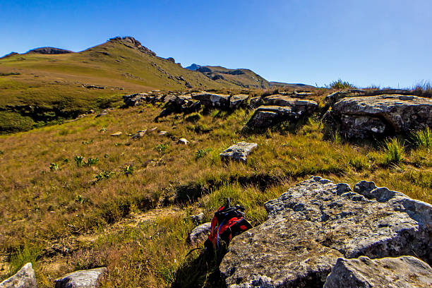 The cliffs and peaks of the Drakensberg Mountains formed due to the combination of the Jurassic period large flood basalt during the break-up of the Gondwana Supercontinent and erosion from the later uplift of the African Continent. The Drakensberg Park were declared a Unesco World Heritage site in 2000 to protect the natural habitats, but also due to its cultural significant since it has the largest concentration of rock paintings in Sub Sahara Africa.