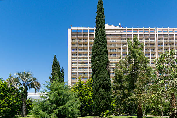 istock Tall, modern building rises behind lush park filled with various trees, including palm and cypress trees in Adler resort city near Sochi, under clear blue sky 2226481667