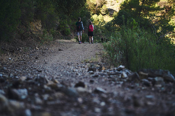 istock Hikers Walking Along a Forest Trail Surrounded by Lush Greenery 2226481793