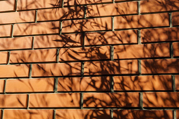 istock Brick wall with intricate contrasting shadows of bamboo leaves , creating natural, textured pattern 2226482479