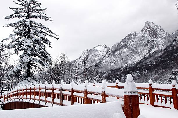 A scenic snow-covered wooden bridge leading toward towering winter mountains.