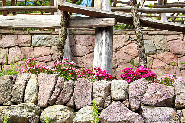 Stone wall with flowers in a vineyard in Italy.