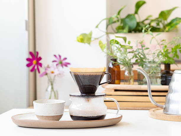 istock Making pour over coffee with modern equipment and plants 2226489835