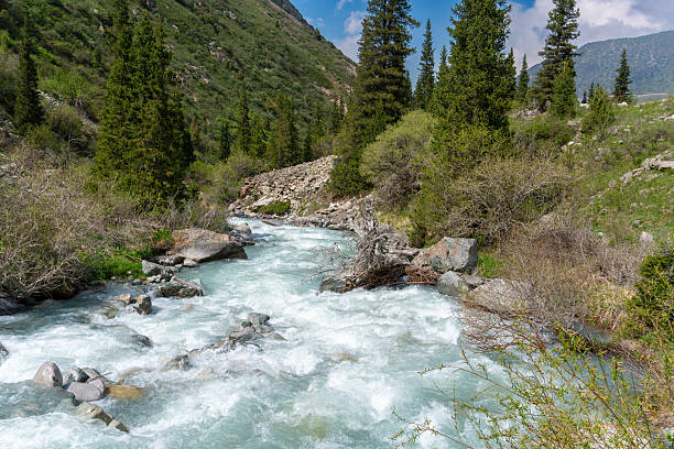 istock Ala-Archa Park, Rushing mountain whitewater stream. Coniferous forest, rugged terrain, boulders, steep slopes, pristine landscape. Backcountry trekking, nature adventure, wilderness travel 2226491308