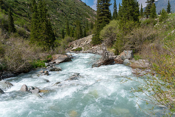 istock Ala-Archa Park, Fast flowing whitewater river cuts through mountainous terrain. Evergreen forest rocky pristine environment. Trekking hiking mountaineering backcountry adventure and nature discovery 2226491439