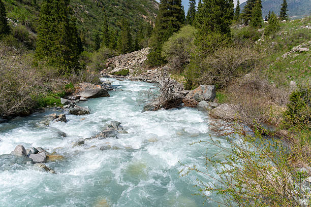 istock Ala-Archa Park, Fast flowing swiftwater river with whitewater rapids. Coniferous trees rocky slopes and wild vegetation in a mountainous region. Outdoor adventure and nature trekking activities 2226491563