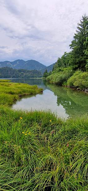 istock Lake Weitsee in bavarian alps 2226495115