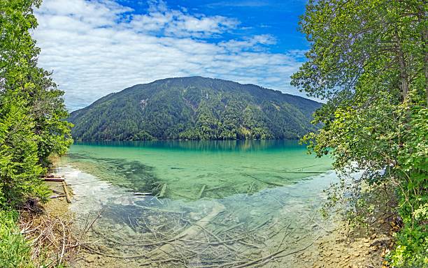 Shoreline of Weissensee in Carinthia with mountain backdrop and tall green reeds