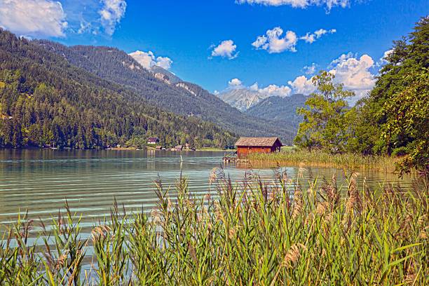 Colorful boats docked along Weissensee surrounded by alpine forest in Austria
