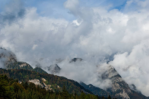 A scenic view of mist-covered mountain peaks surrounded by dense forests, against an expansive sky. The serene atmosphere evokes a sense of tranquility and connection to nature, highlighting the pristine and untouched beauty of this awe-inspiring landscape.