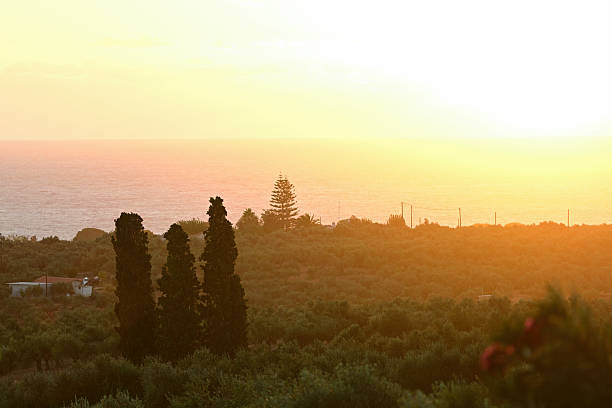 Beautiful rural landscape in Costa Navarino at sunset. Greece