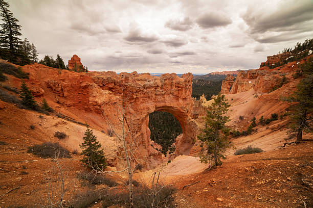 Natural Bridge in Bryce Canyon National Park is a giant arch that boasts the rich red color characteristic of Bryce Canyon's landscape, thanks to the iron oxide in the sedimentary rock.
