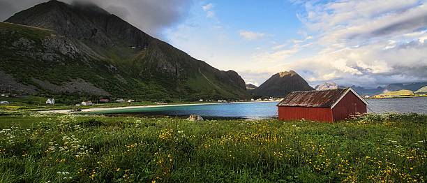 istock Lofoten - a beautiful, harsh climate in summer 2226503842