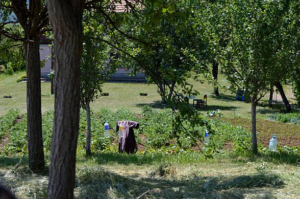 Terrible scarecrow in dark cloak and dirty hat stands alone on a cemetery background. Halloween concept