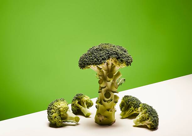 istock Minimalistic composition made of fresh beautiful broccoli pieces 2226505461