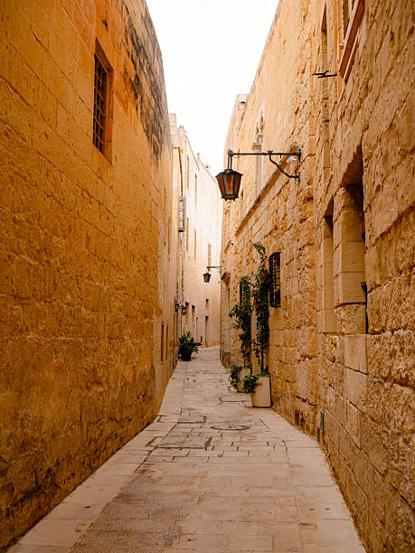 istock Charming limestone alley in Mdina, Malta 2226510946