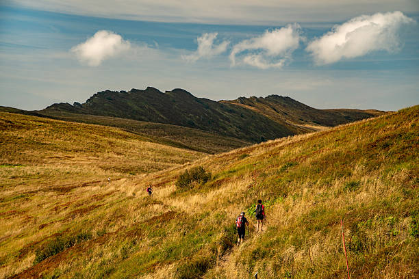 A mountain range in the Bieszczady Mountains in the area of Tarnica, Halicz and Rozsypaniec.