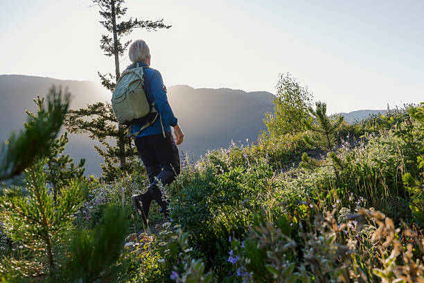 istock Mature man hikes in mountain meadow at sunrise 2226514214