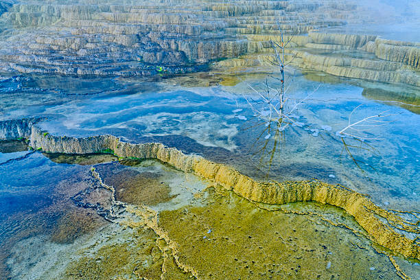 Mammoth Hot Springs feature in Yellowstone National Park