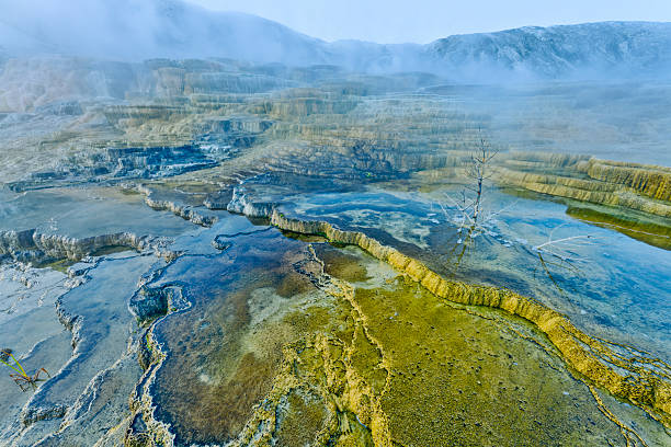 Mammoth Hot Springs feature in Yellowstone National Park