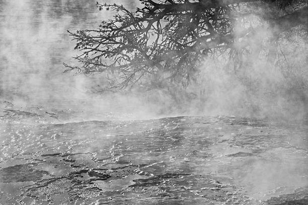 A grayscale shot of the sulfur veins at the Grand Prismatic in Yellowstone National Park, Wyoming, USA