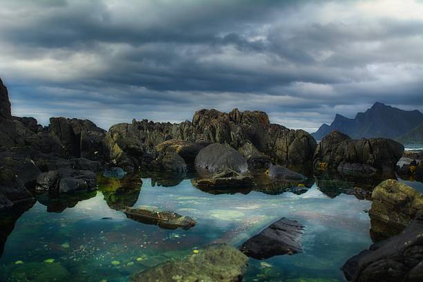 Lush green moss adorns rugged rocks as gentle waves lap at the shoreline, creating a serene atmosphere in this secluded coastal area.