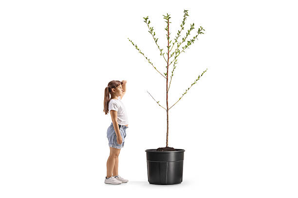 istock Full length profile shot of a child checking height next to a tree 2226521956