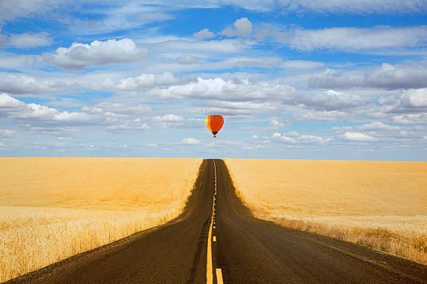 USA Washington statte, Palouse region, wheat fields and hot air balloon