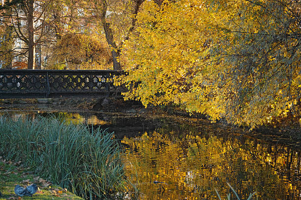 Clissold Park is a late 19th century public park in Stoke Newington, London, with landscaped grounds of an 18th century house.